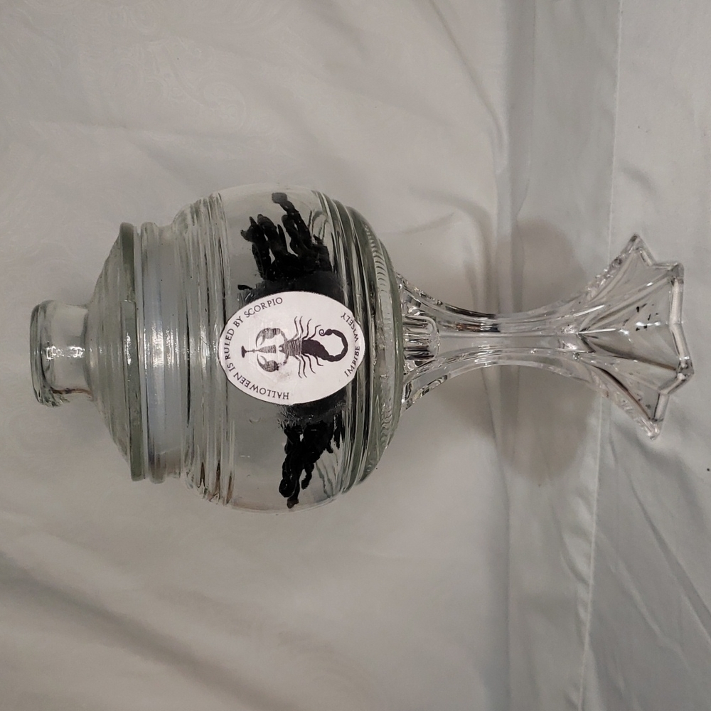 Scorpion Jar
